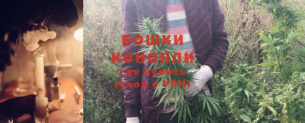 прущая мука Верея