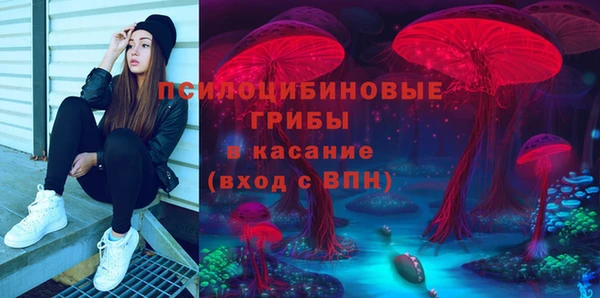 крисы Волоколамск